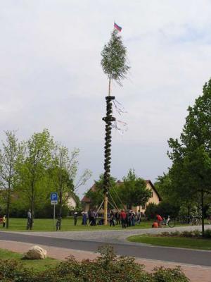 Der Hornoer Maibaum – der Gewinner des Maibaum-Wettbewerbs 2014. Foto: privat