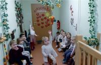 Hier ermitteln die Dreijährigen, wer der Kral beim Hahnrupfen wird.  Fotos: Jost Schmidtchen